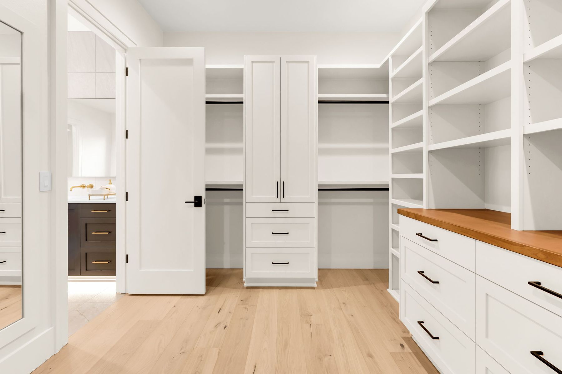 Primary closet built-ins